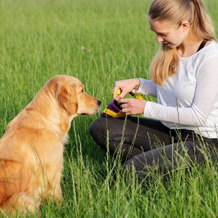 4 Easy Ways To Keep Your Dog Happy and Active