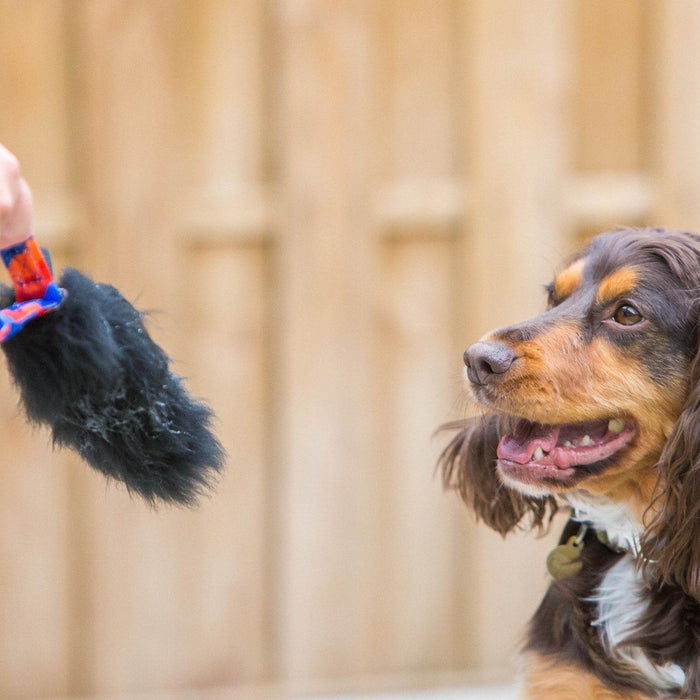 The Best Toys For Spaniels - 3 top toy picks