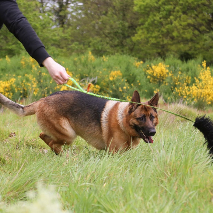 Best toys for german shepherd puppies clearance