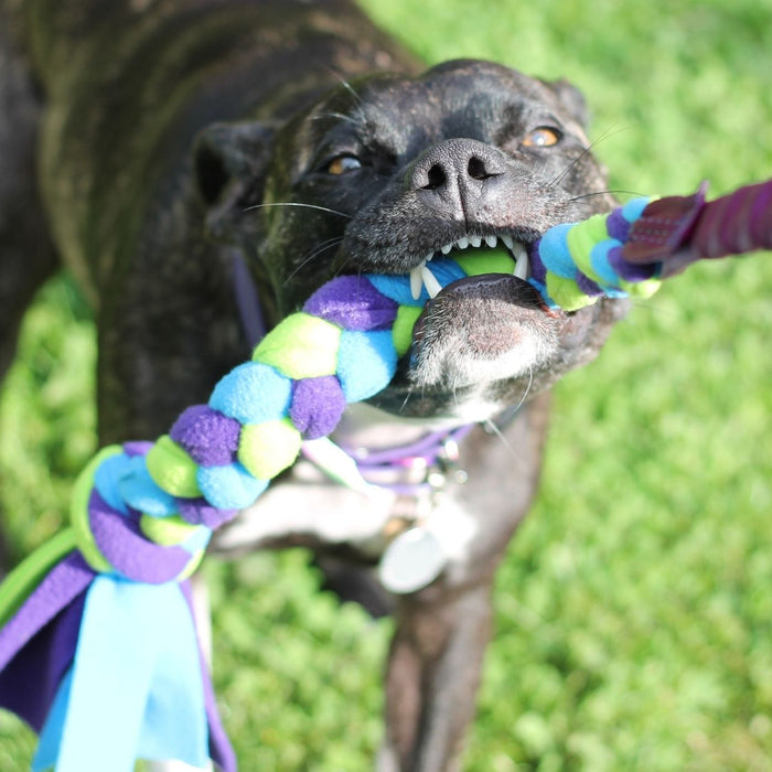 Meet The Best Tried and Tested Toys for Strong Dogs