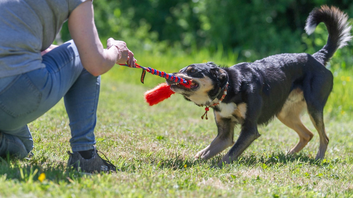 4 Myths About Playing Tug Debunked Tug E Nuff