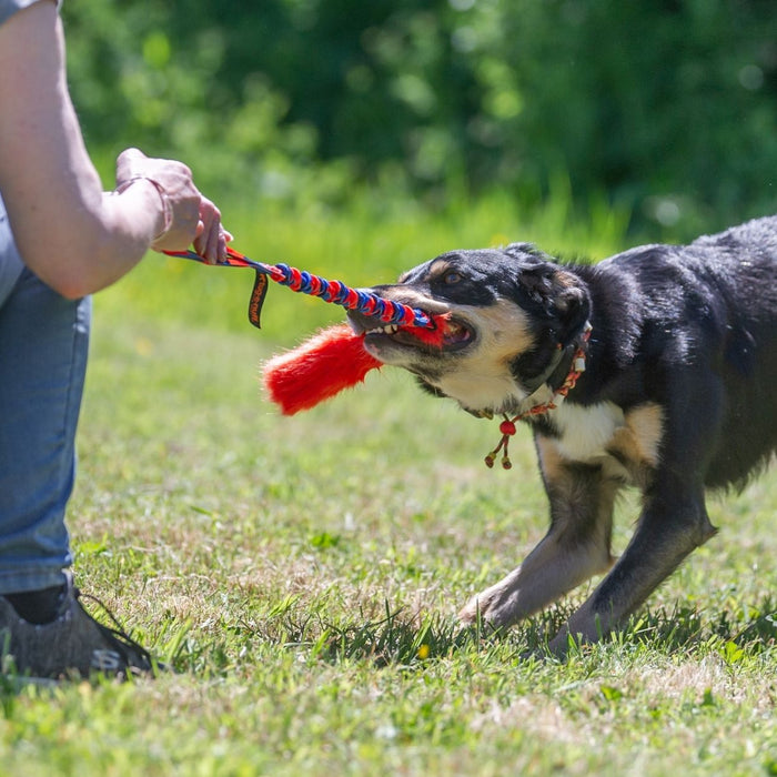 4 Myths About Playing Tug Debunked