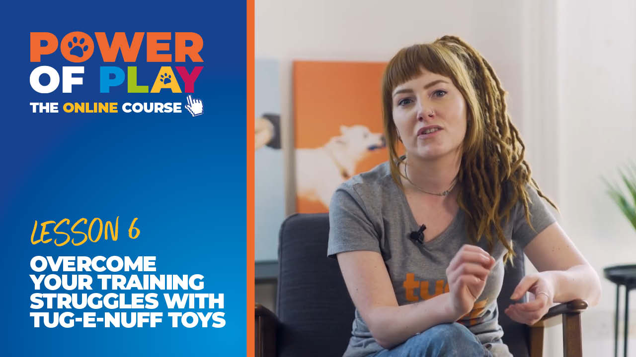 Lesson 6: Overcome Your Training Struggles With Tug-E-Nuff Toys