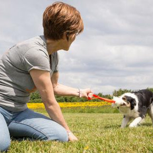 Friends With Benefits: Why Owning A Dog Is Good For Your Mental Health