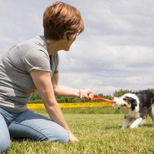 Friends With Benefits: Why Owning A Dog Is Good For Your Mental Health