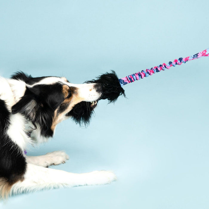 Four Games You And Your Dog Can Play With A Tuggy