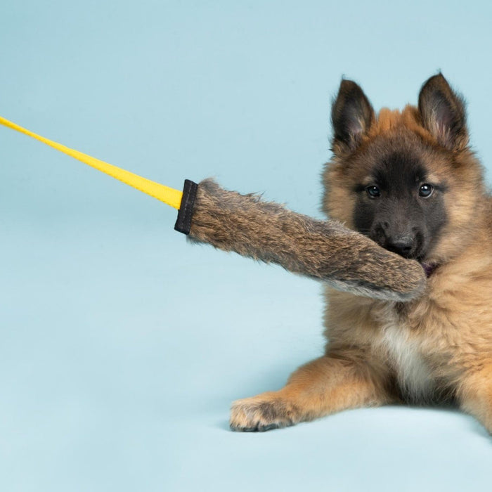 3 Reasons Your Dog Needs A Squeaky Rabbit Chaser Tug