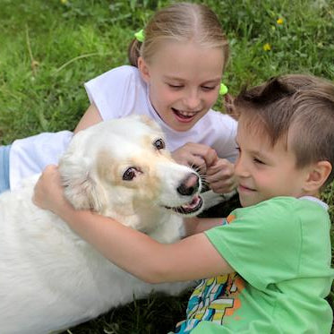How To Help Your Kids Have a Safe, Positive Relationship With Your Dog