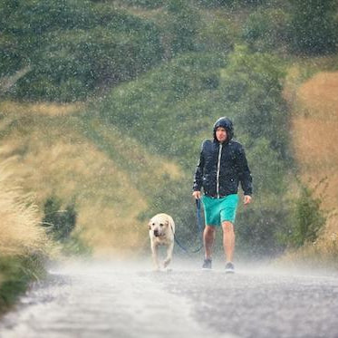 7 Rainy Day Dog Enrichment Ideas