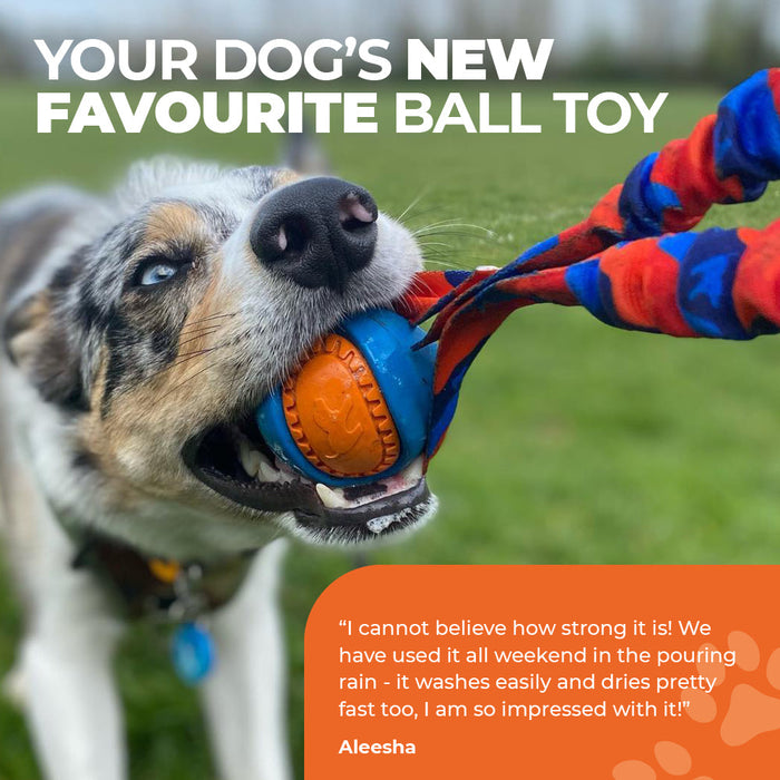 Big dog toys uk shop