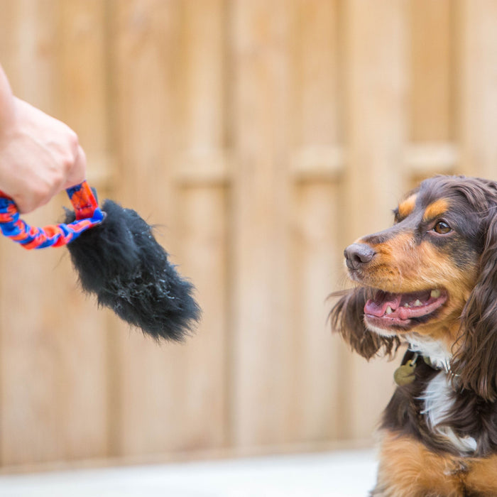 Pocket Magnet - Sheepskin Dog Toy